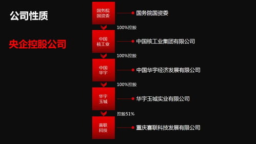 新囍聯新產品新模式渠道商啟動大會圓滿召開，開啟互聯網數據服務新篇章